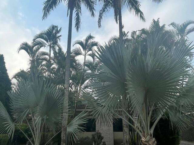 #115 - Casa para Venda em Barueri - SP