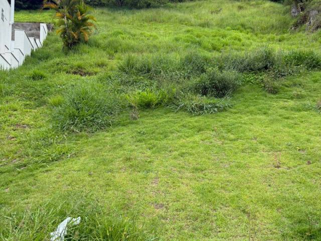 #685 - Área para Venda em Santana de Parnaíba - SP