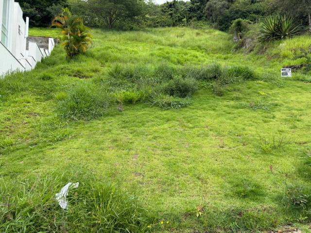 Área para Venda em Santana de Parnaíba - 4